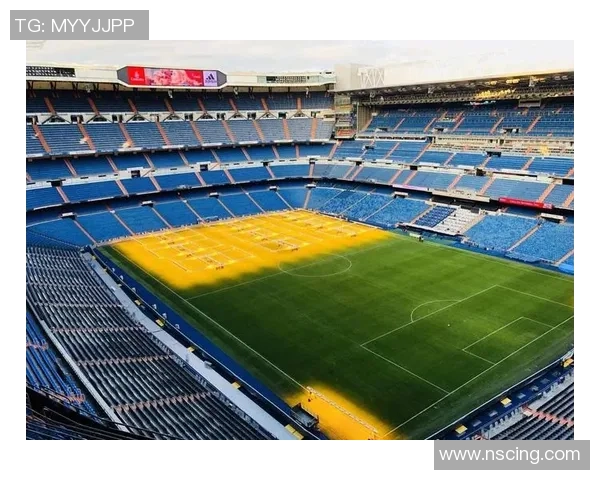 足球巨星大巴成长历程与辉煌赛场表现全景解读